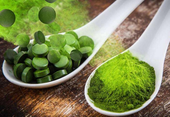 螺旋藻好色视频下载APP